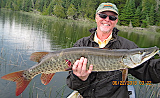 Muskie are Abundant Fishing at Fireside Lodge in Canada